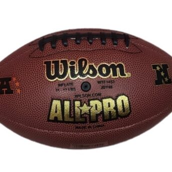 Wilson Junior NFL Team Logo FB NG 01WTF1453