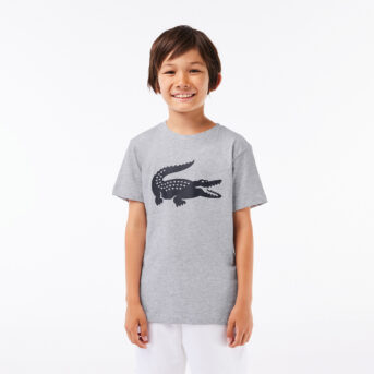 Lacoste Junior Croco T-Shirt  TJ2910-MNC